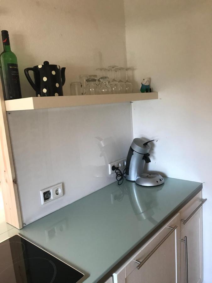 Modernes Ferienhaus Willingen Willingen  Kültér fotó